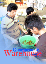 Ornamental fish Thailand